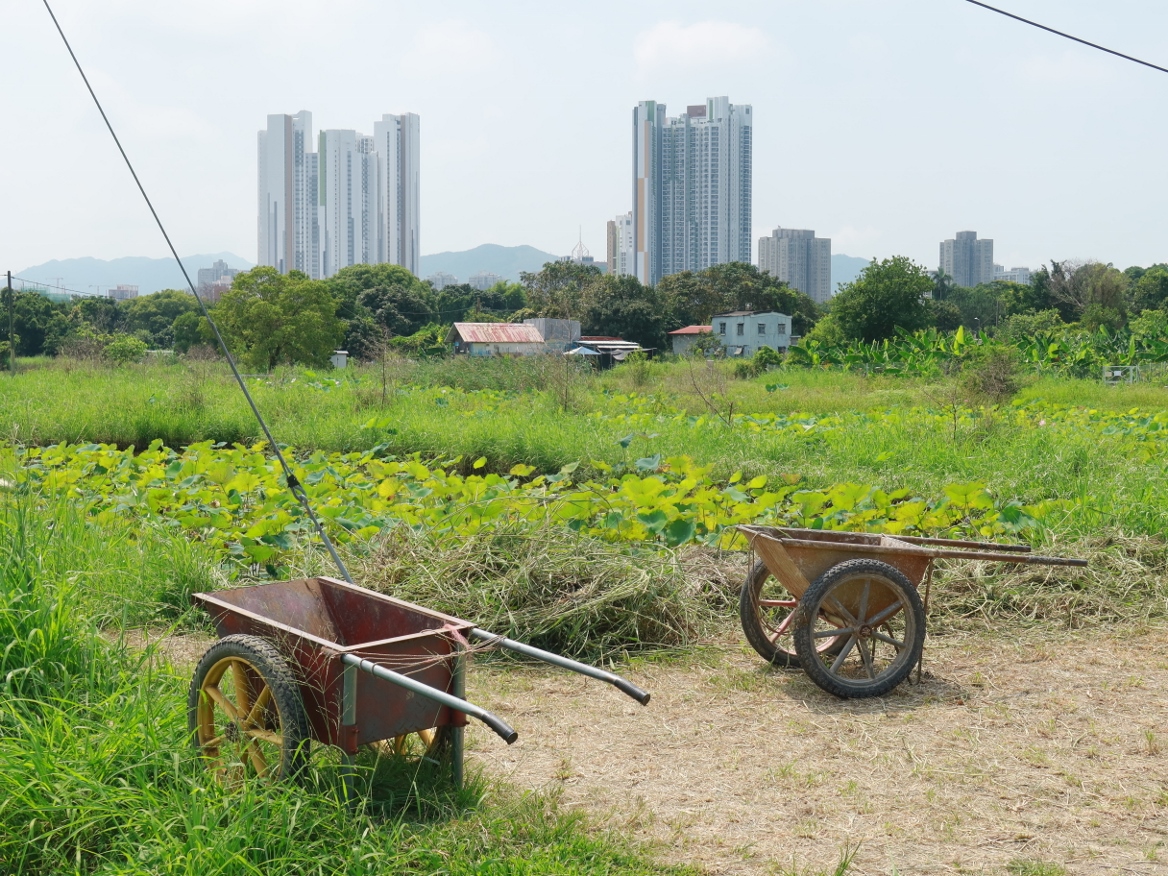 塱原石磨過虎地